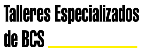 Mantenimiento de maquinaria pesada – Talleres Especializados de BCS – La Paz