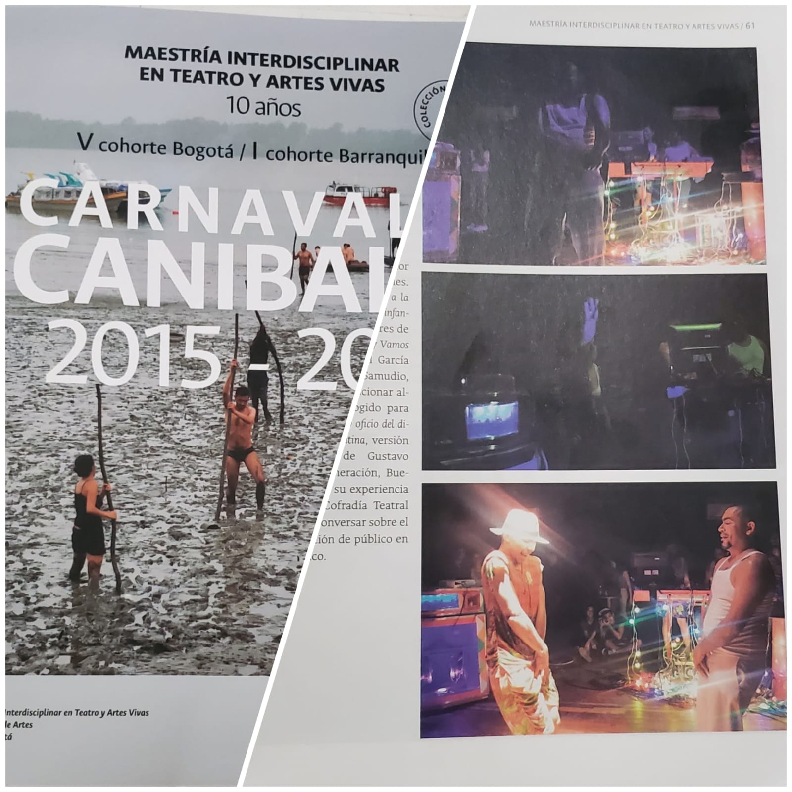 https://0201.nccdn.net/4_2/000/000/038/2d3/maestria-interdisciplinar-en-teatro-y-artes-vivas-revista-2015.jpg