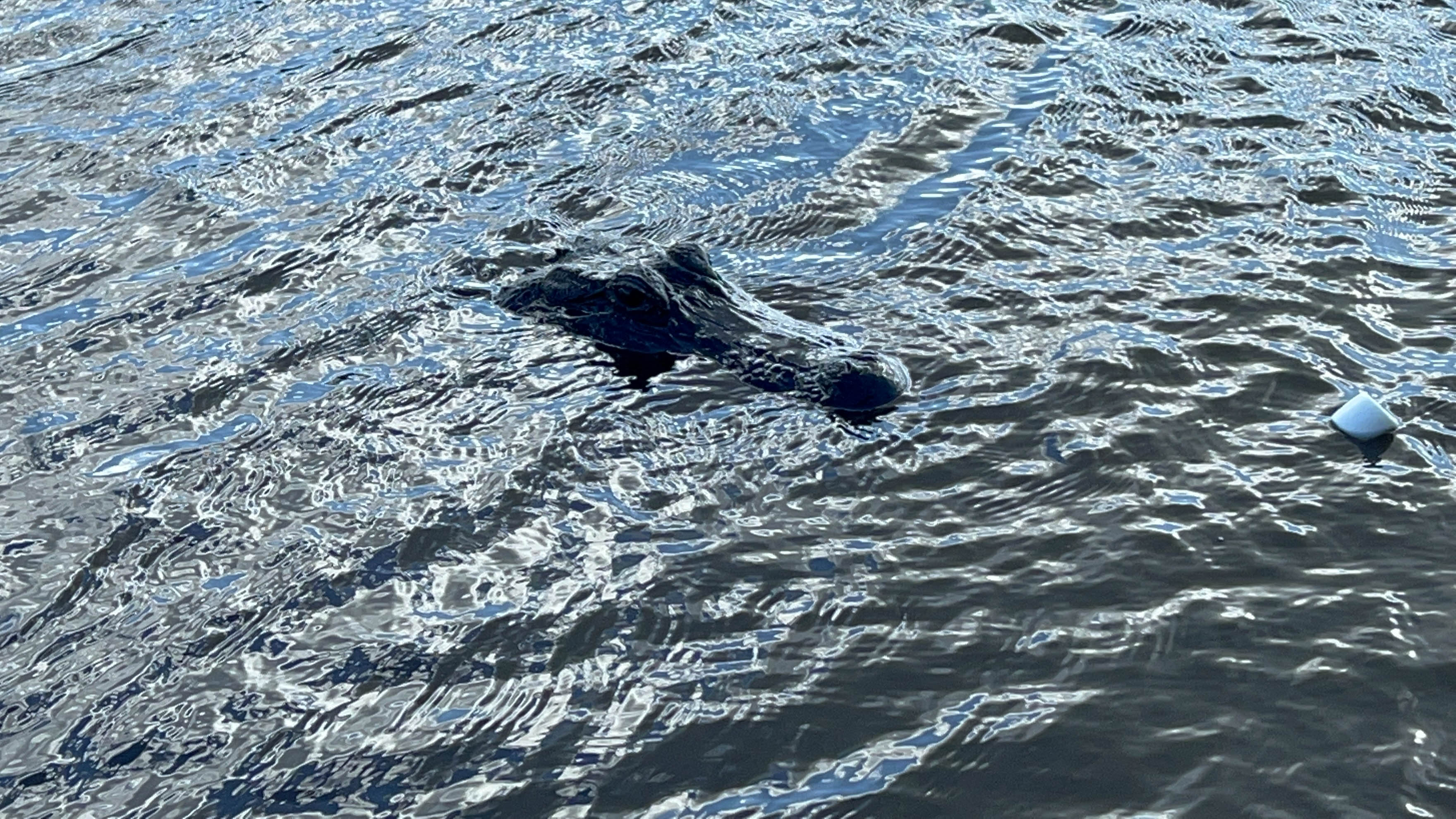 https://0201.nccdn.net/4_2/000/000/038/2d3/new-orleans-order-130.jpg