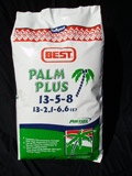 Palm Plus