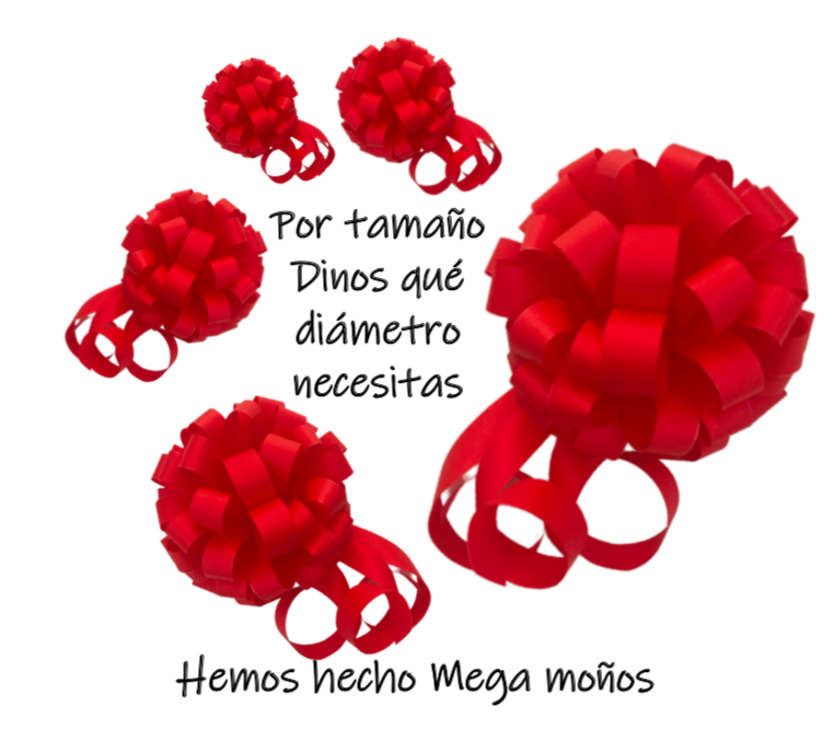 PERSONALIZA TU MOÑO