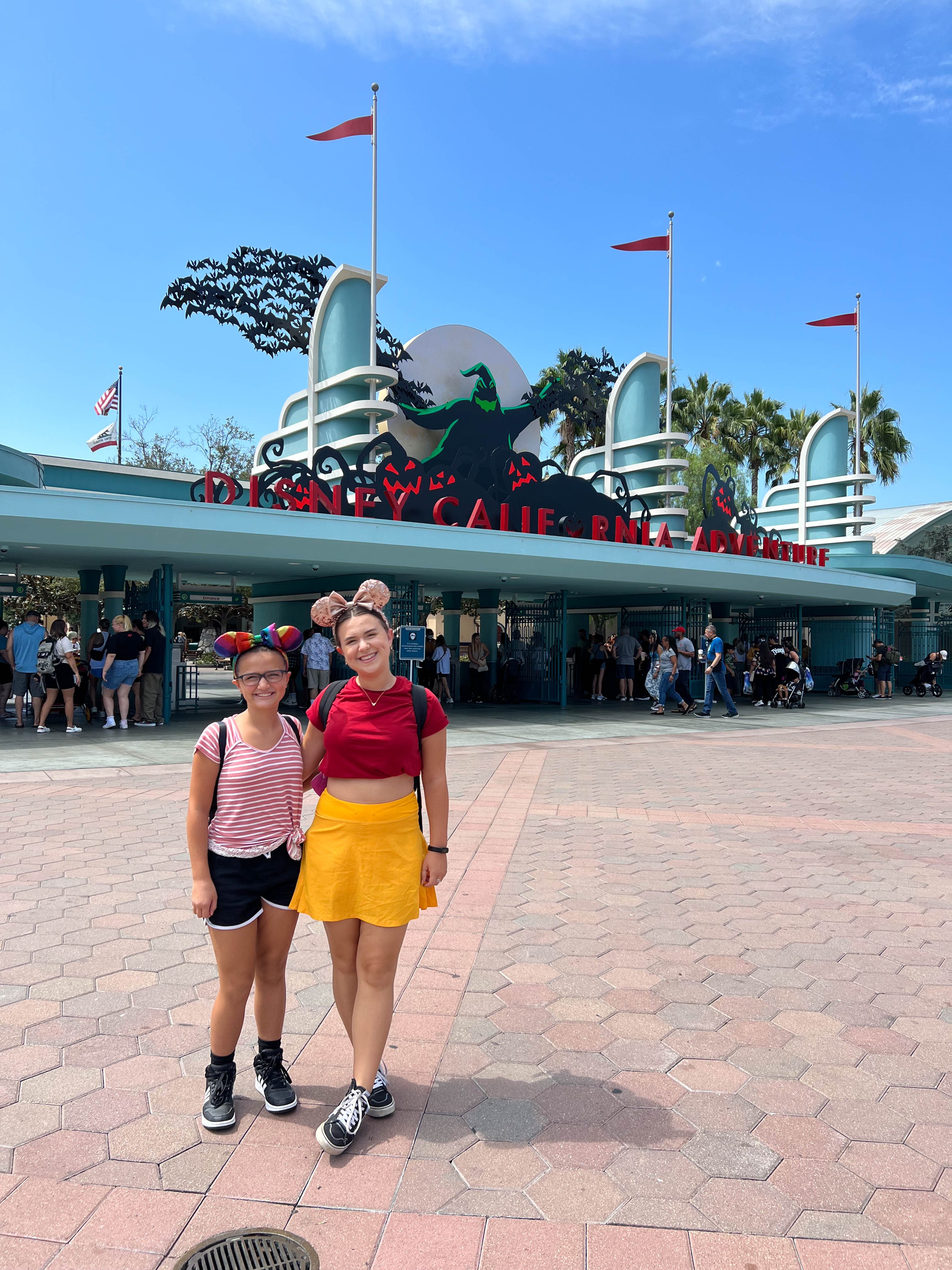 While we went to DisneyLand