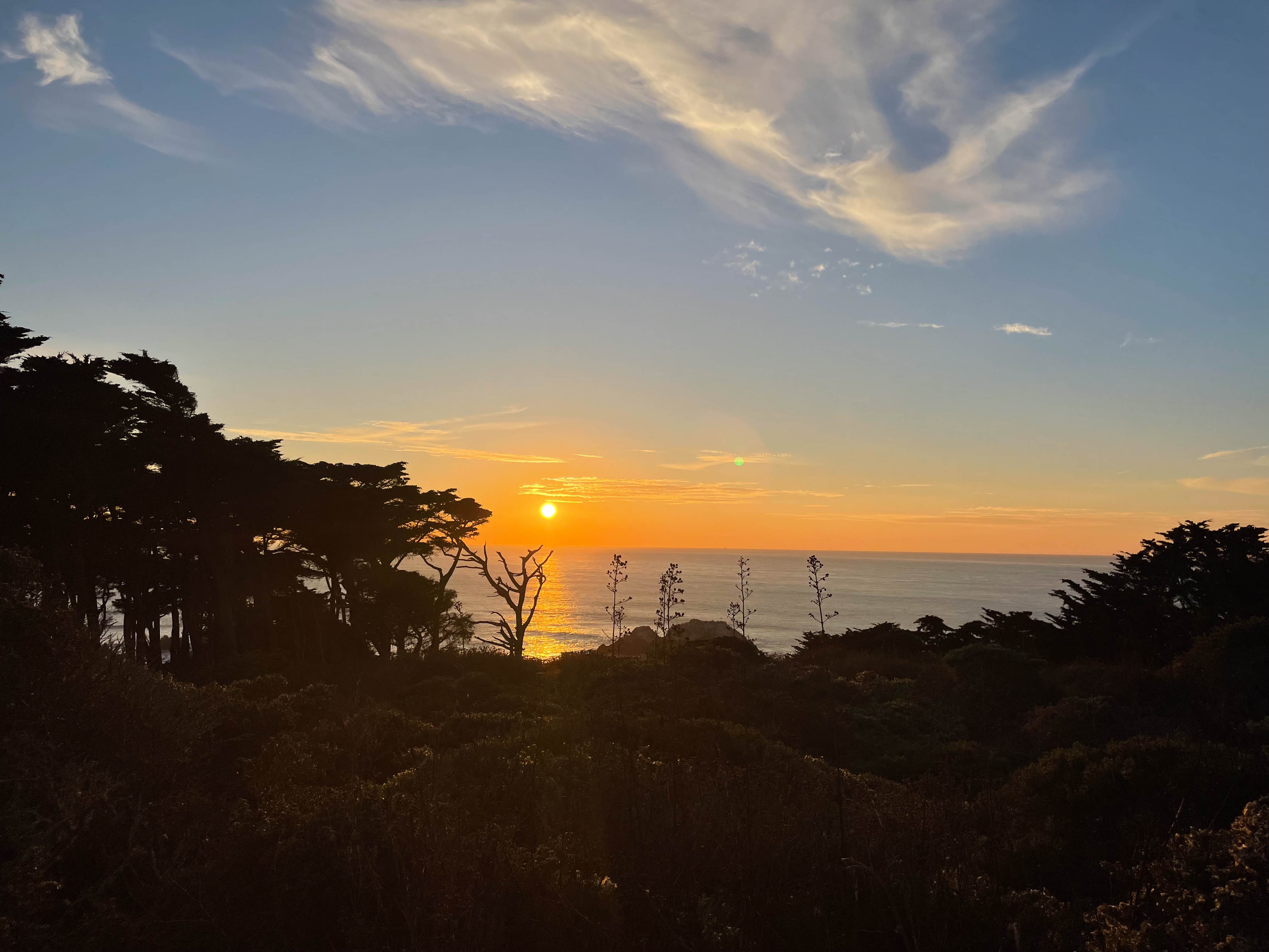 https://0201.nccdn.net/4_2/000/000/038/2d3/san-fran-order-2-51.jpg