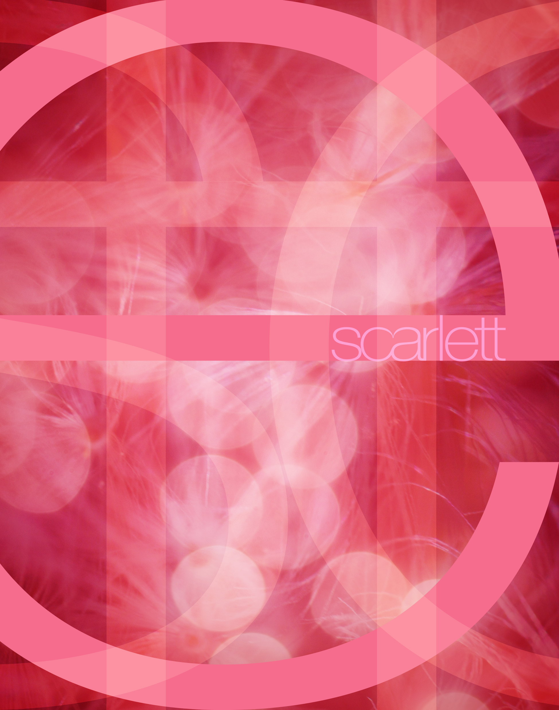 https://0201.nccdn.net/4_2/000/000/038/2d3/scarlett-card-05.jpg