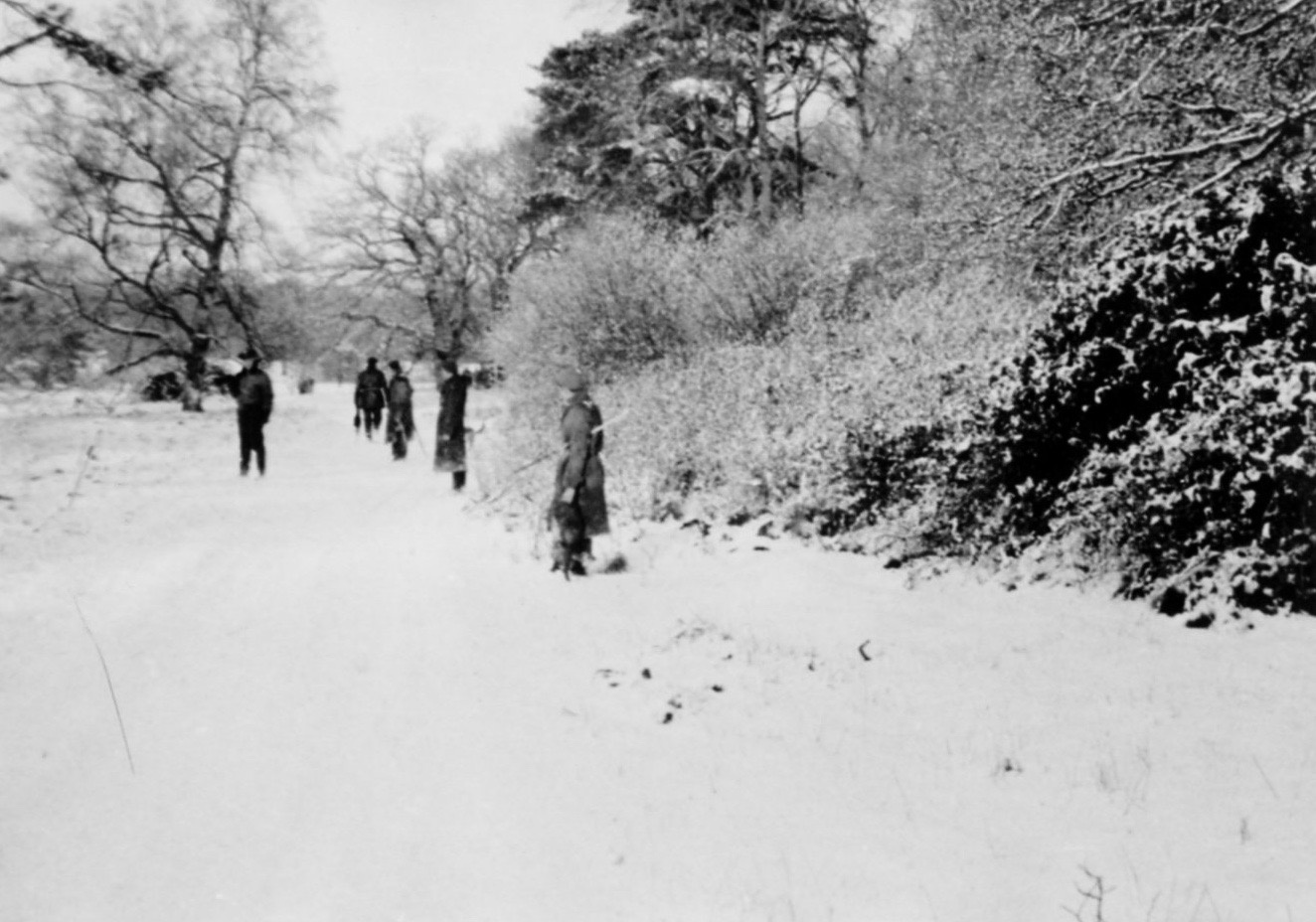 Lackford Shoot January 1945