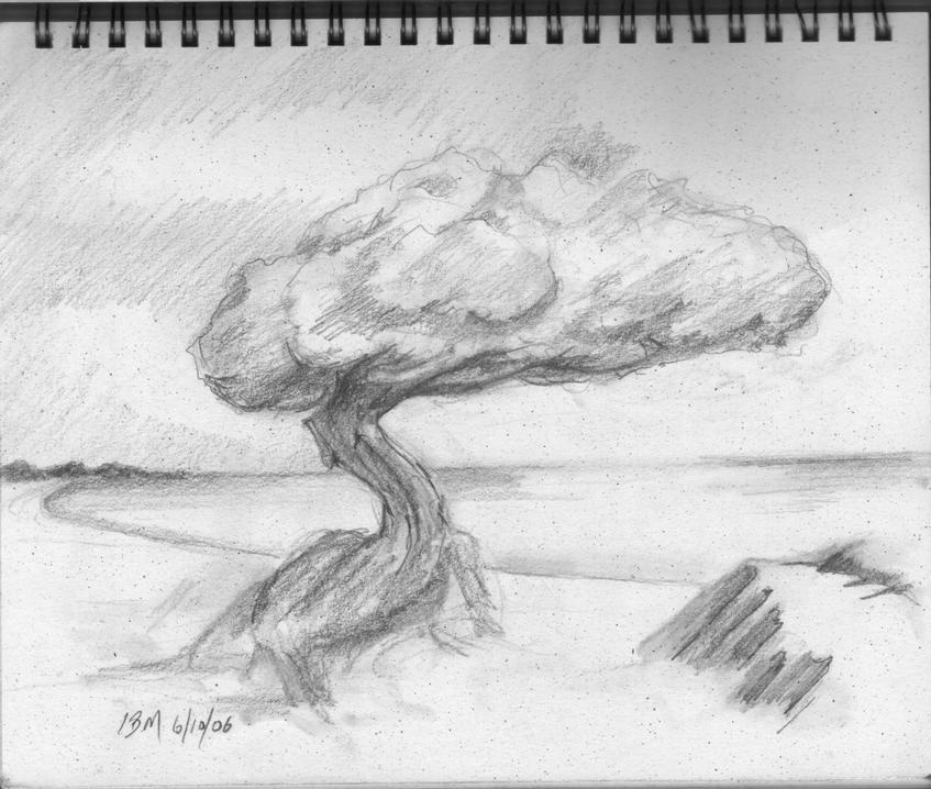 tree-on-beach-6-10-06