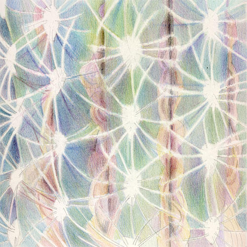 Cactus #4 (8"x8") coloured pencil on Arches HP