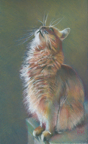 Life/Feline Art: I Spy A Spider