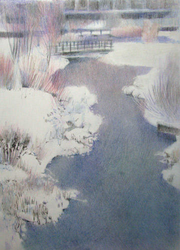 #7 - Moor Hen Pond from the roof of the Ecology Centre 2nd February 2009