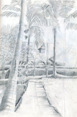 The bird house at Ananda Cottages