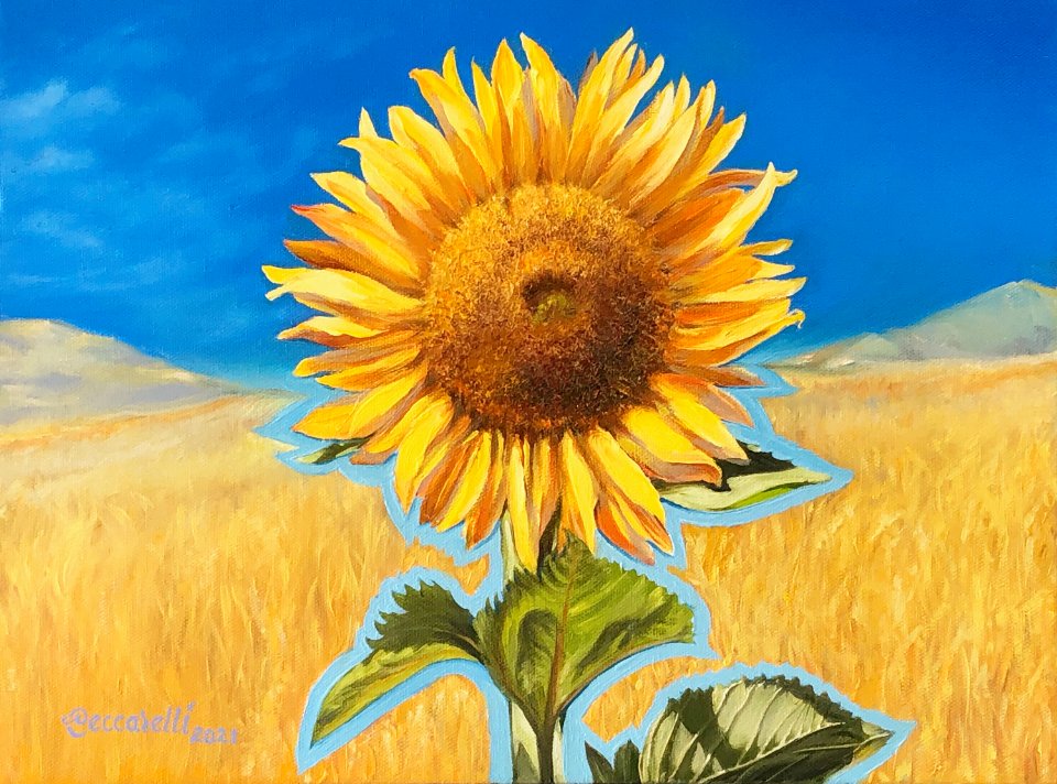 https://0201.nccdn.net/4_2/000/000/038/2d3/sunflower..1.fin.jpg