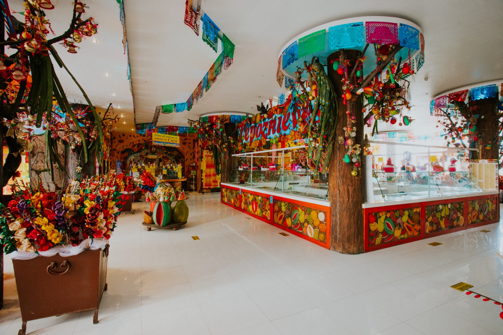 https://0201.nccdn.net/4_2/000/000/038/2d3/tepoznieves-8.jpeg