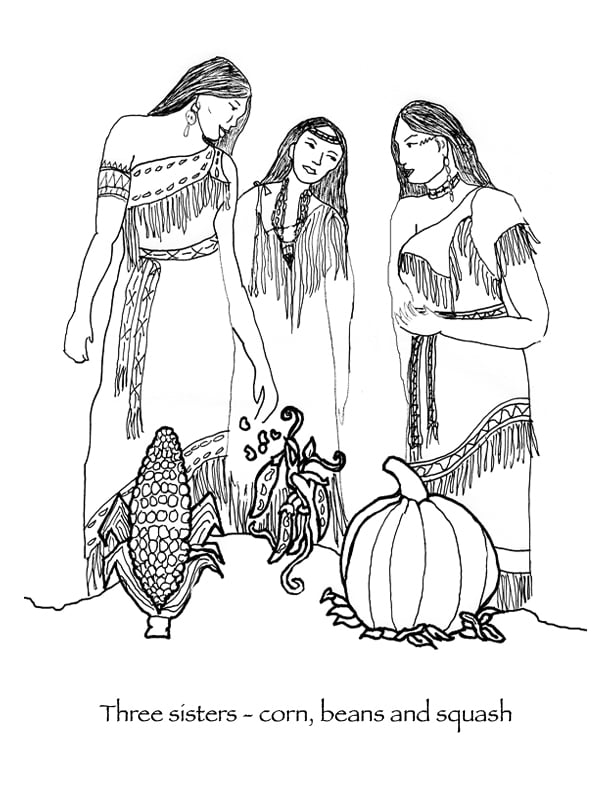three sisters, corn, beans, and squash, wampanoag, native american, american indian
