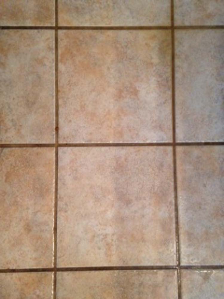 Tile Grout Before Cleaning