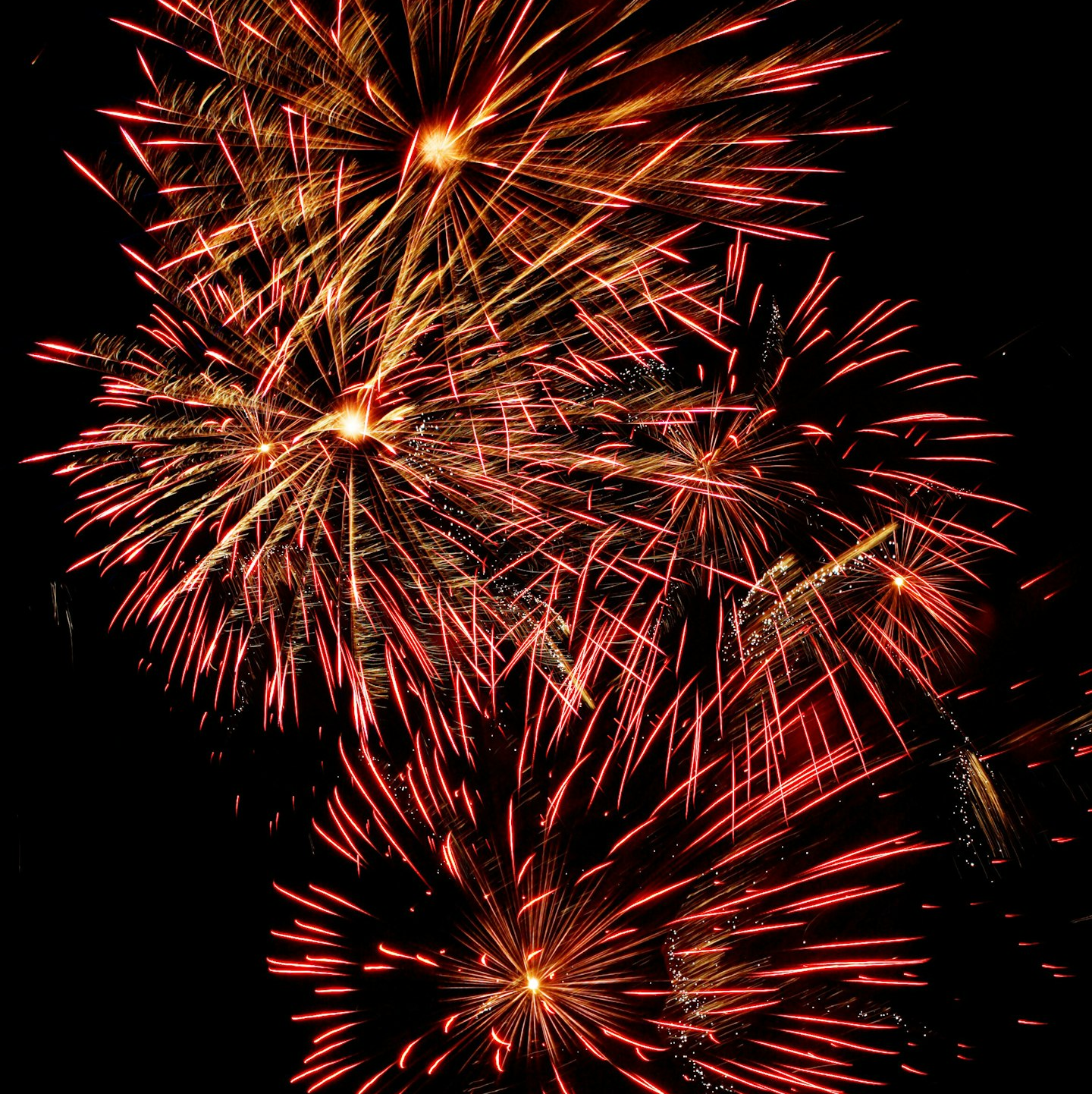 woman taking a picture of fireworks during night