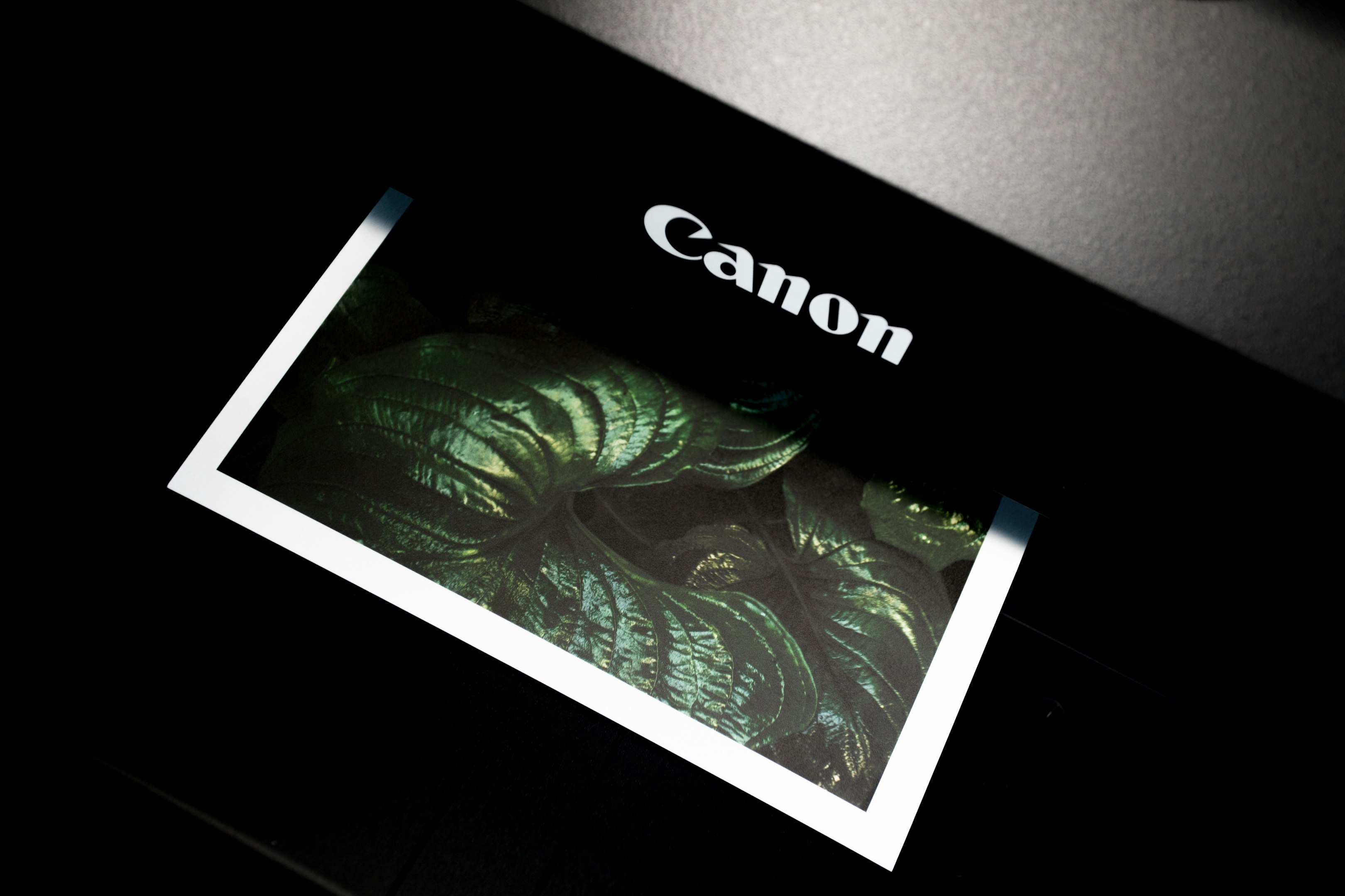 impresora de fotos Canon negra