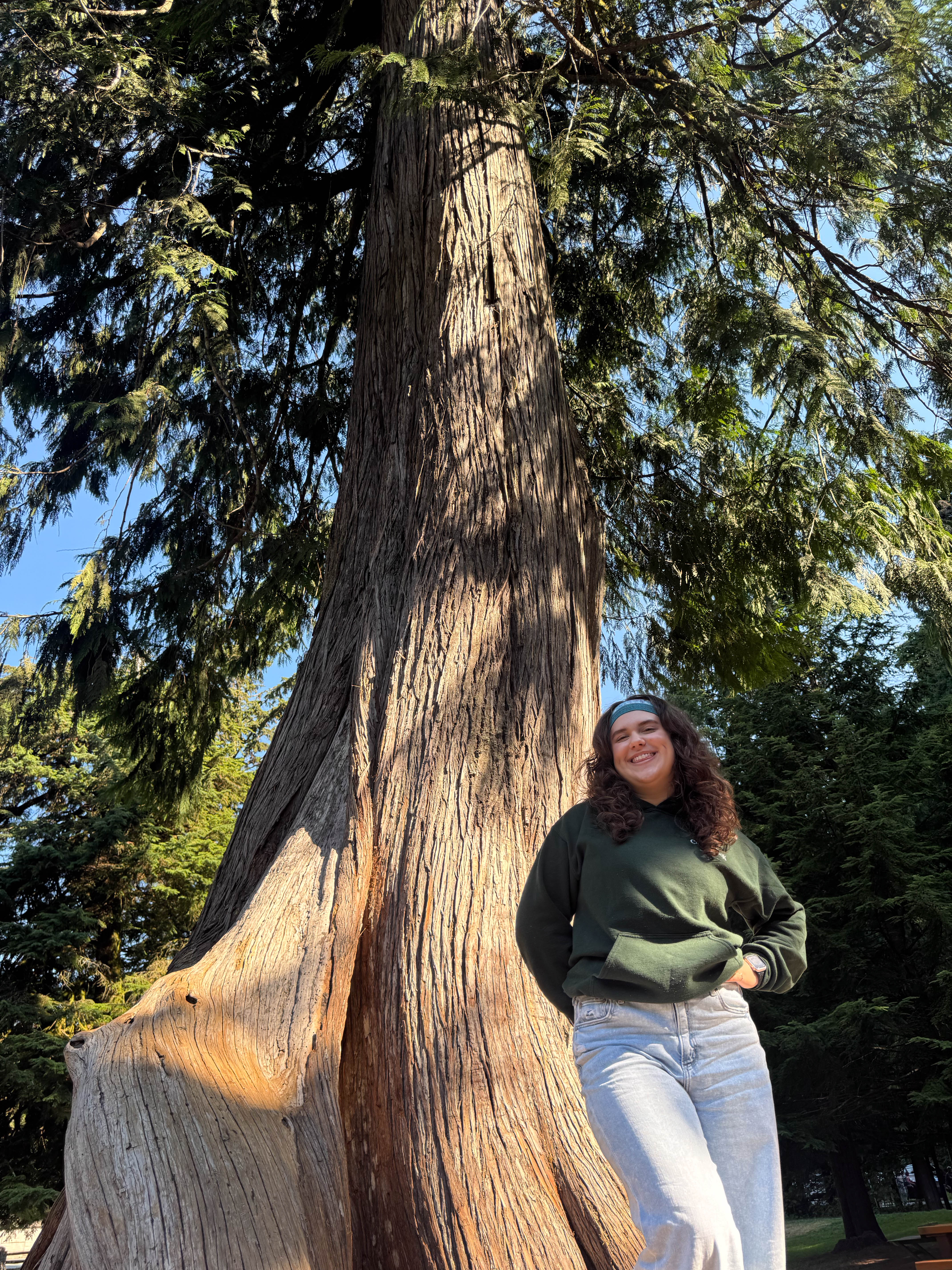 https://0201.nccdn.net/4_2/000/000/038/2d3/vancouver-order-16.jpg