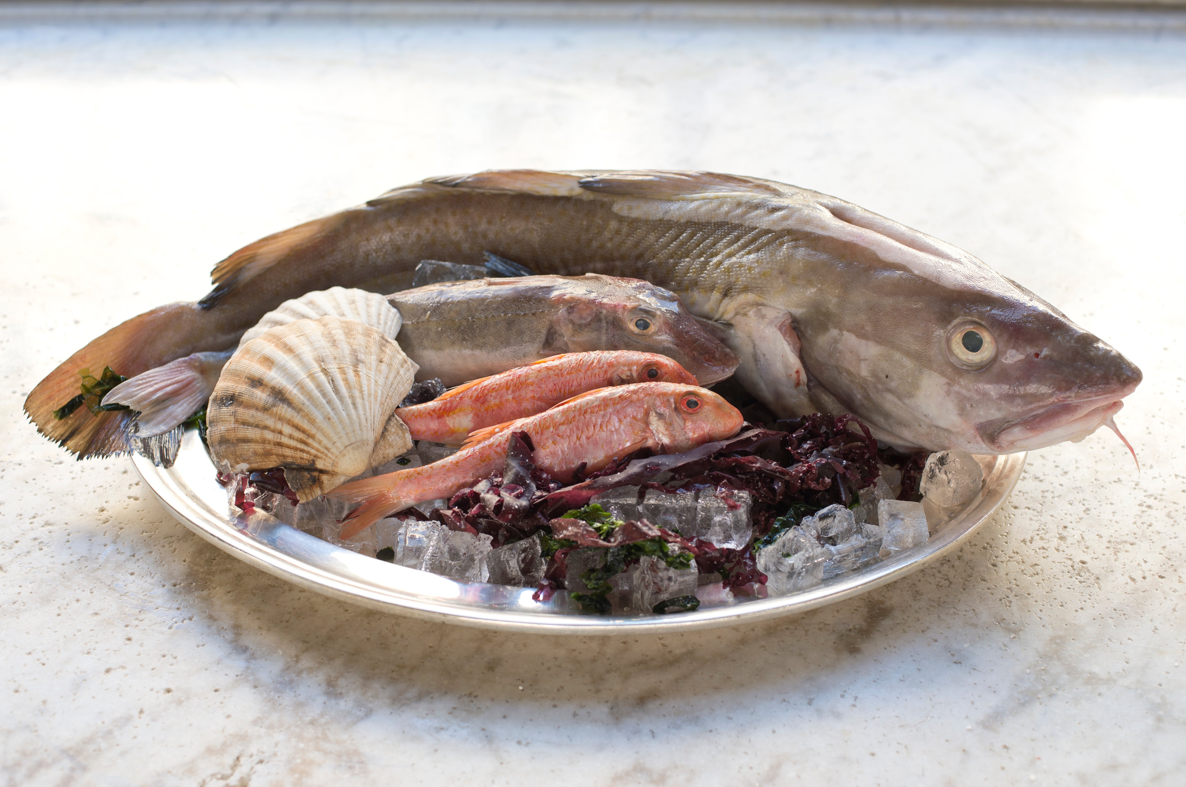 Chef in professional kitchen preparing fresh salmon fillets on cutting board with assorted ingredients in background.