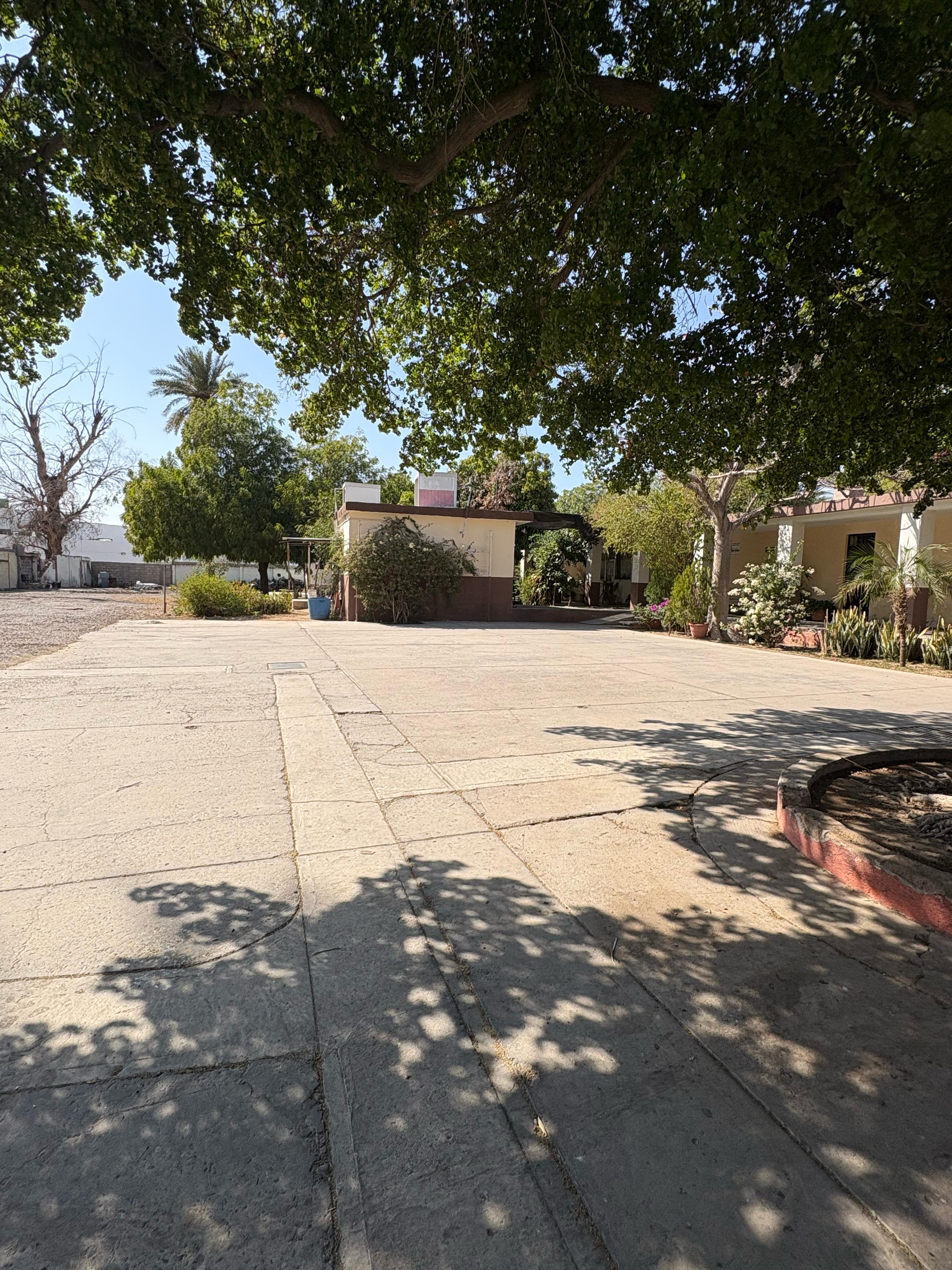 Moderna casa de dos pisos con fachada blanca, garaje de madera y palmeras alrededor.
