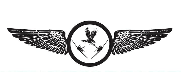 AERONÁUTICA ESPECIALIZADA DE MÉXICO S.C.