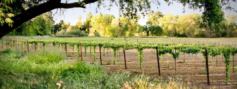 Frozen and Refrigerated Food Council of Northern California Frozen and Refrigerated Food Council of Northern California