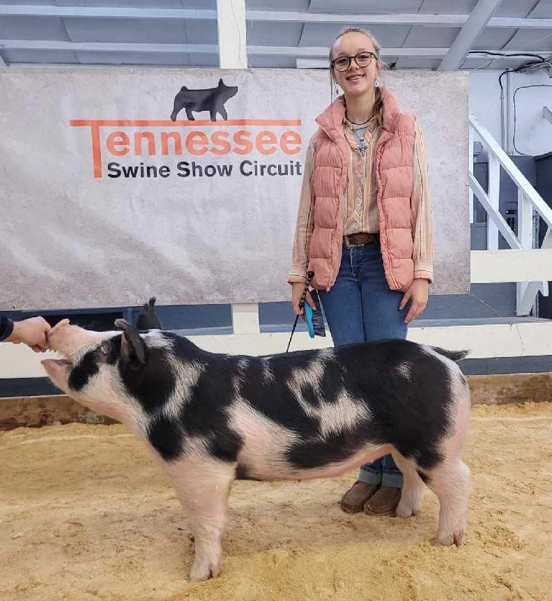 Ivy Johnson
2022 New Year's Countdown Spectacular
Day 1 - Reserve Champion TN Bred Spot Gilt
5th Overall Purebred Gilt