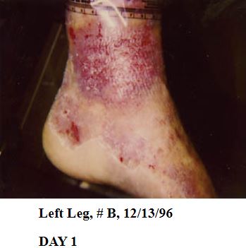 https://0201.nccdn.net/4_2/000/000/03f/ac7/12-1.jpg