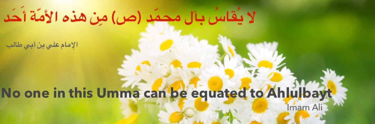 Slider art competition 2016