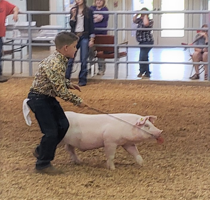 Brooks Peterson
Champion Chester White Barrow
2021 Summer Kickoff Jackpot Show