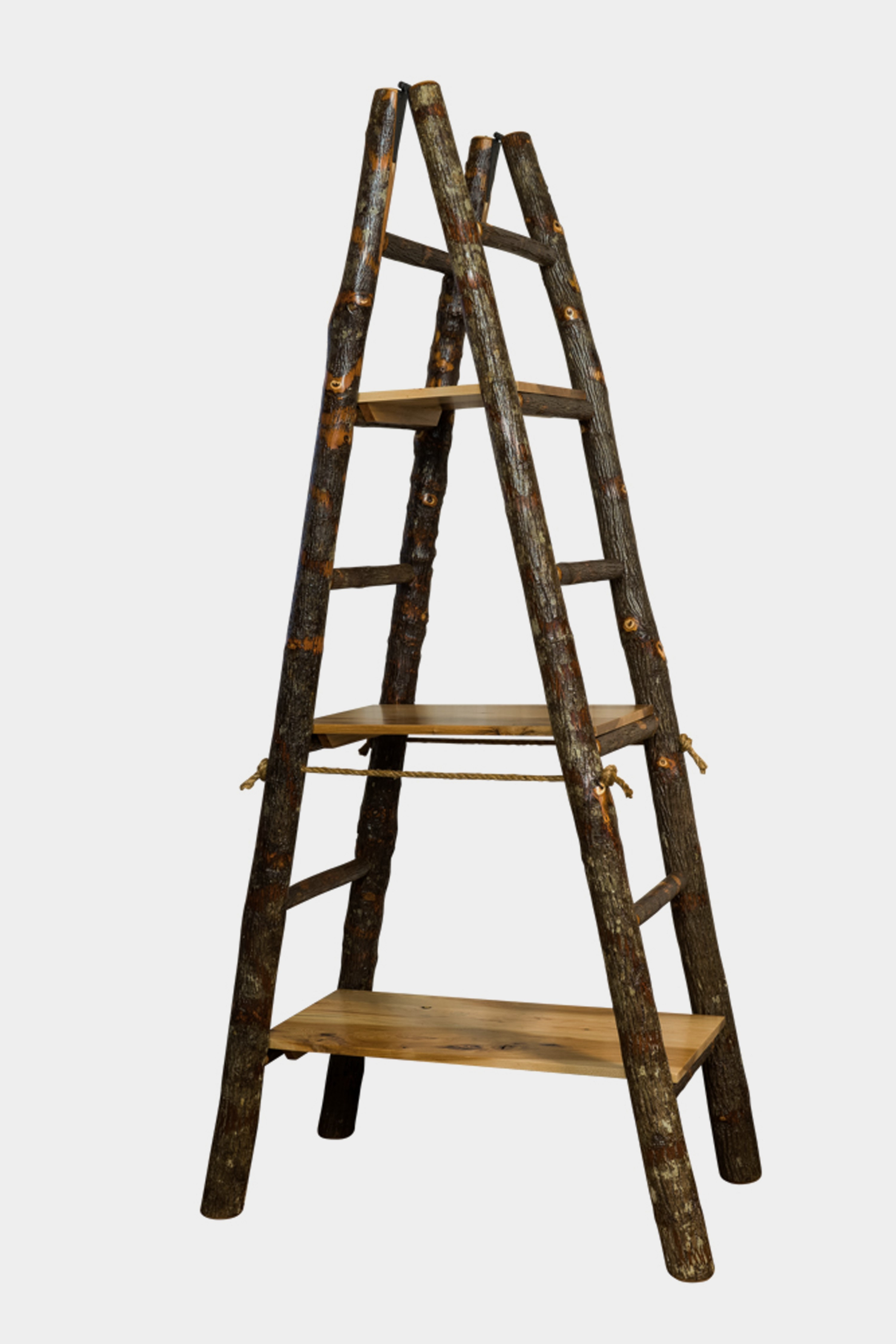 https://0201.nccdn.net/4_2/000/000/03f/ac7/357-Showcase-Ladder--2--3000x4498.jpg