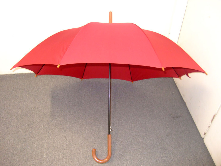 Strange Umbrella