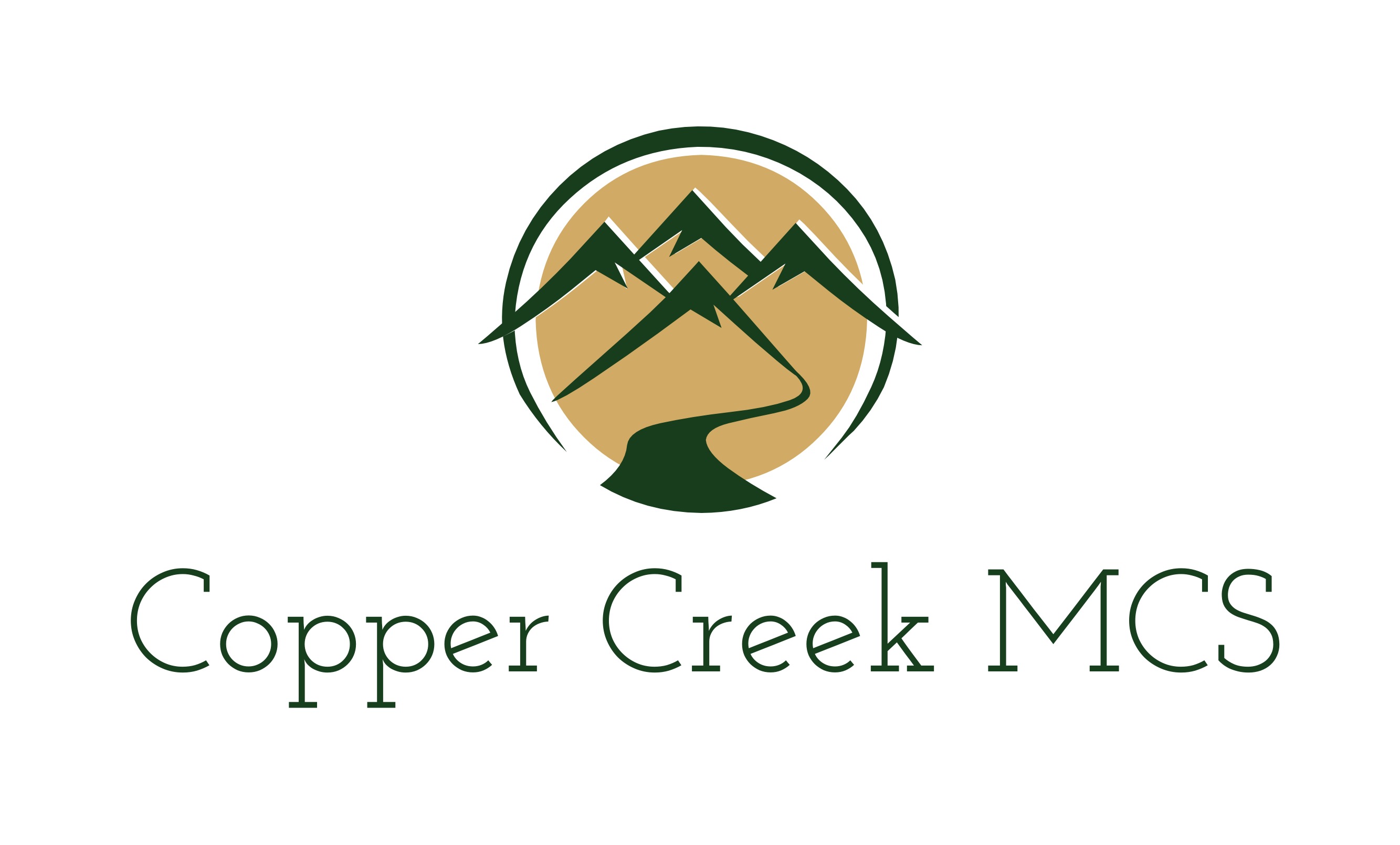 COPPER CREEK MCS LLC