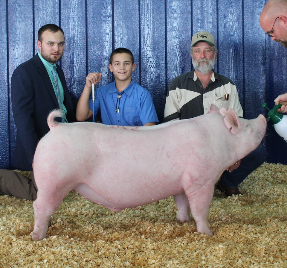 Kalan Lusk
2017 Tennessee State Fair
Reserve Champion Yorkshire Barrow
