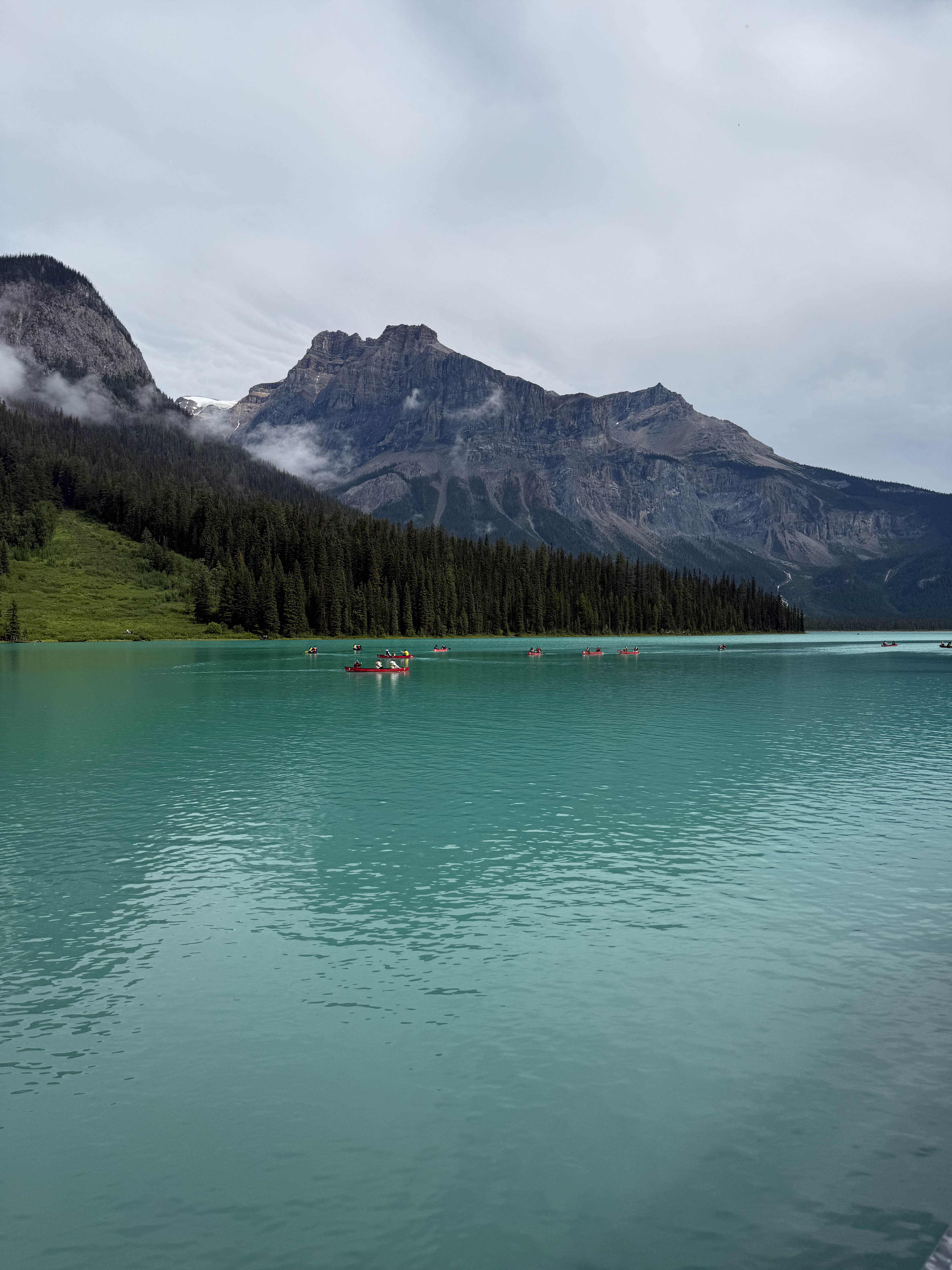 https://0201.nccdn.net/4_2/000/000/03f/ac7/calgary-order-47.jpg