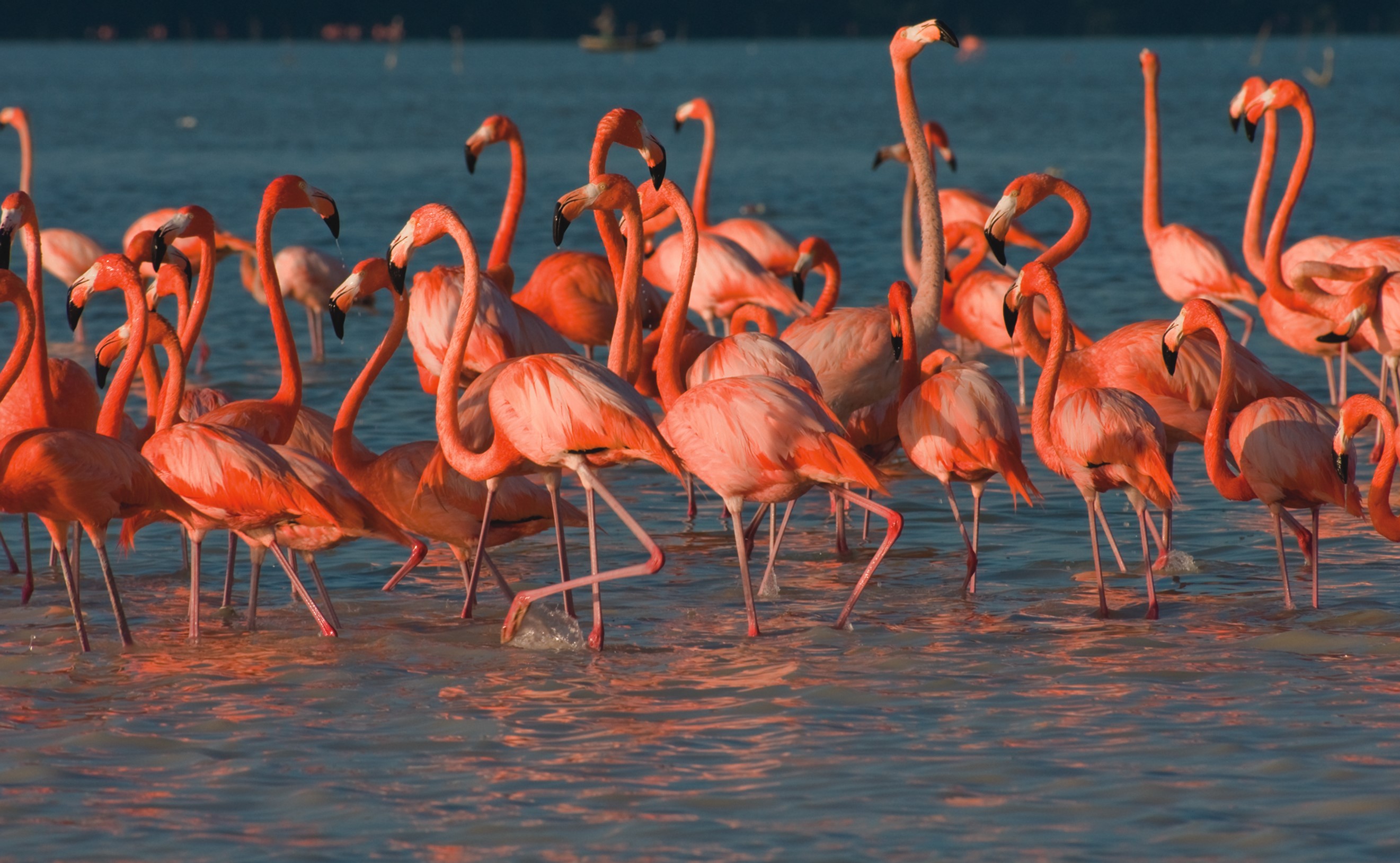 Conoce Yucatán y sus raíces