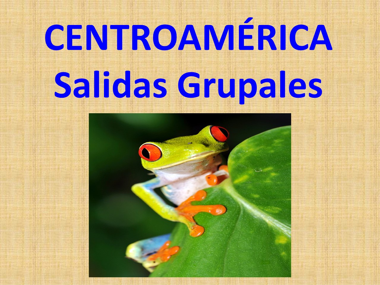 https://0201.nccdn.net/4_2/000/000/03f/ac7/centroamerica-salidas-grupales.jpg