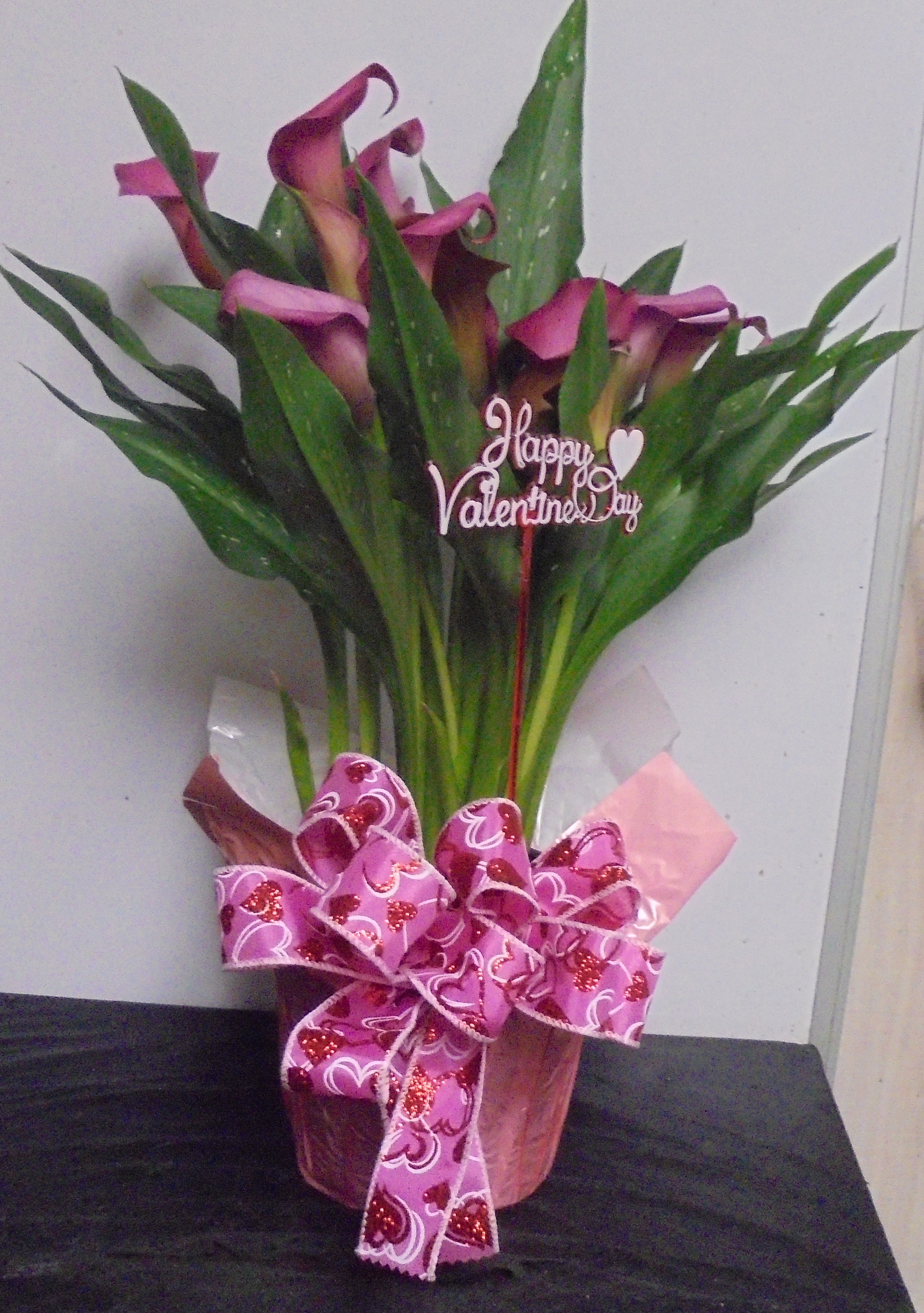 (8) "Fuchsia" Calla Lily Pot
$50.00