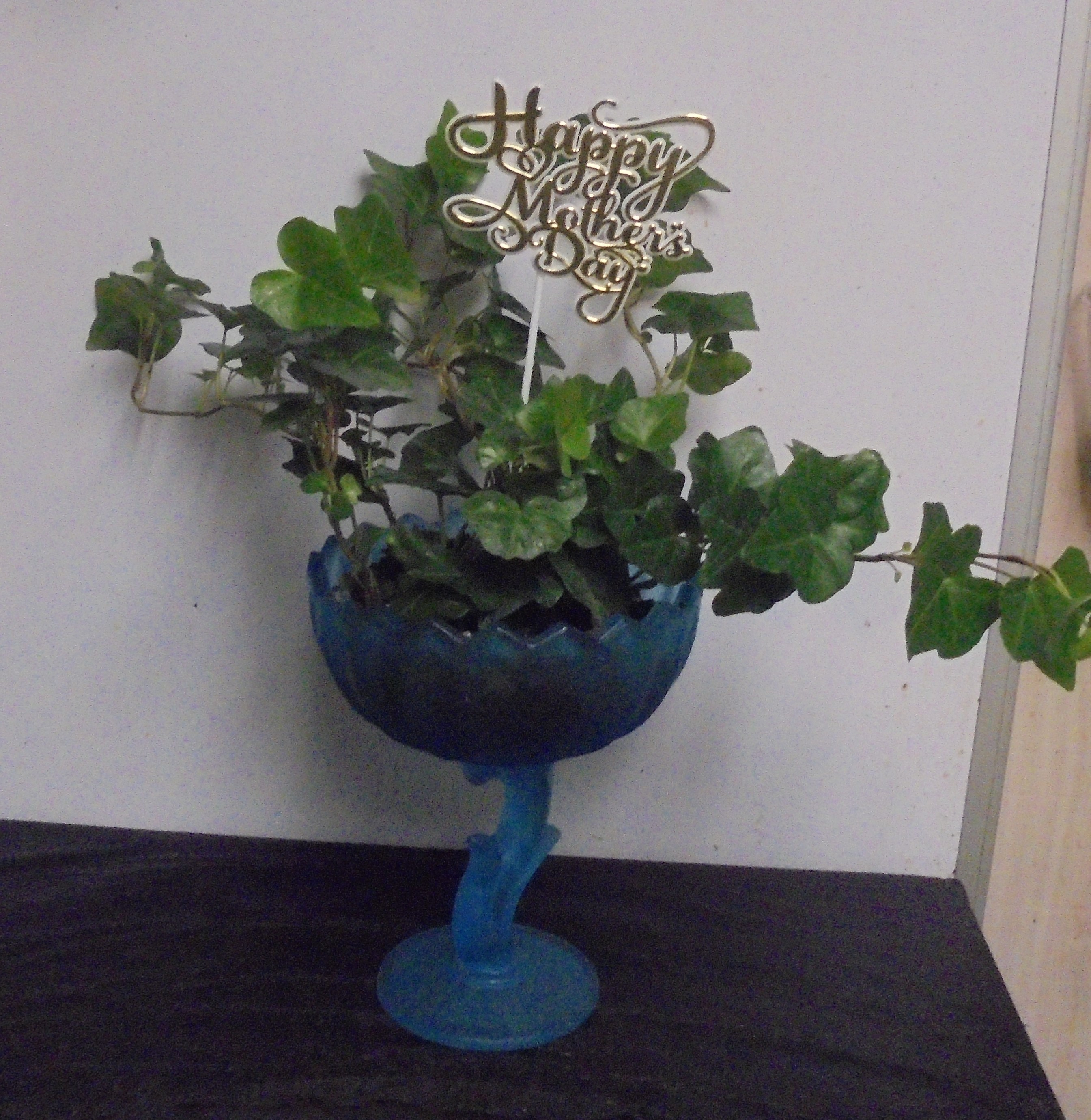 (27)  "Ivy" Plant In
"Vintage" Indiana Glass Bowl
$40.00