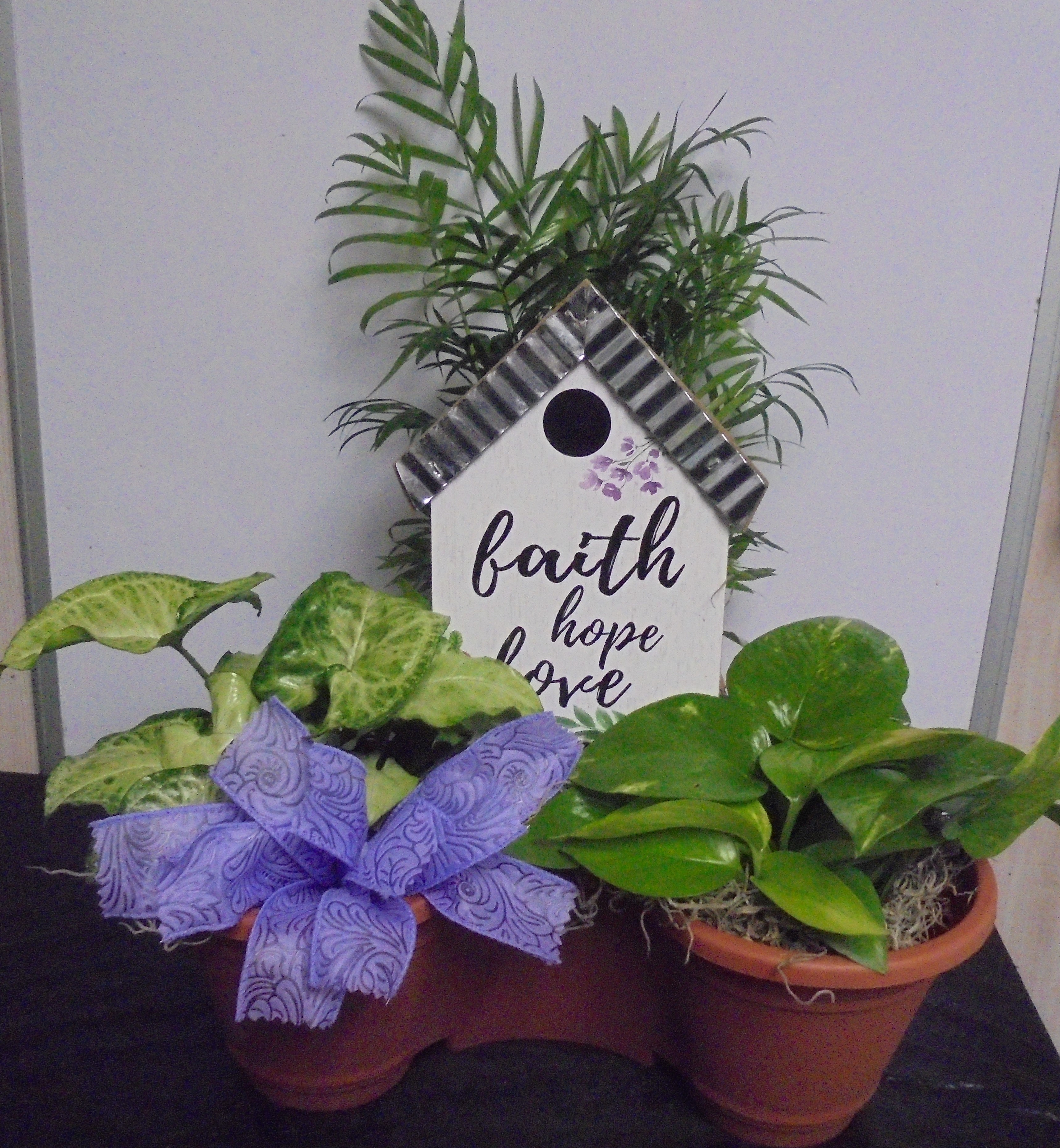 (2B) "Three" Plant Combo
W/ Faith Plaque
$50.00