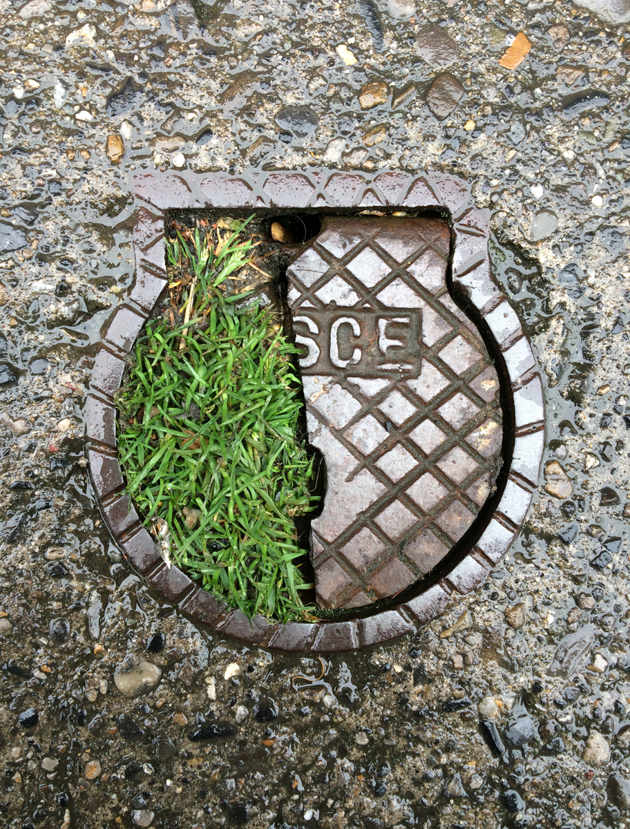 A wet, broken, shell-shaped metal inspection cover half filled with green grass.