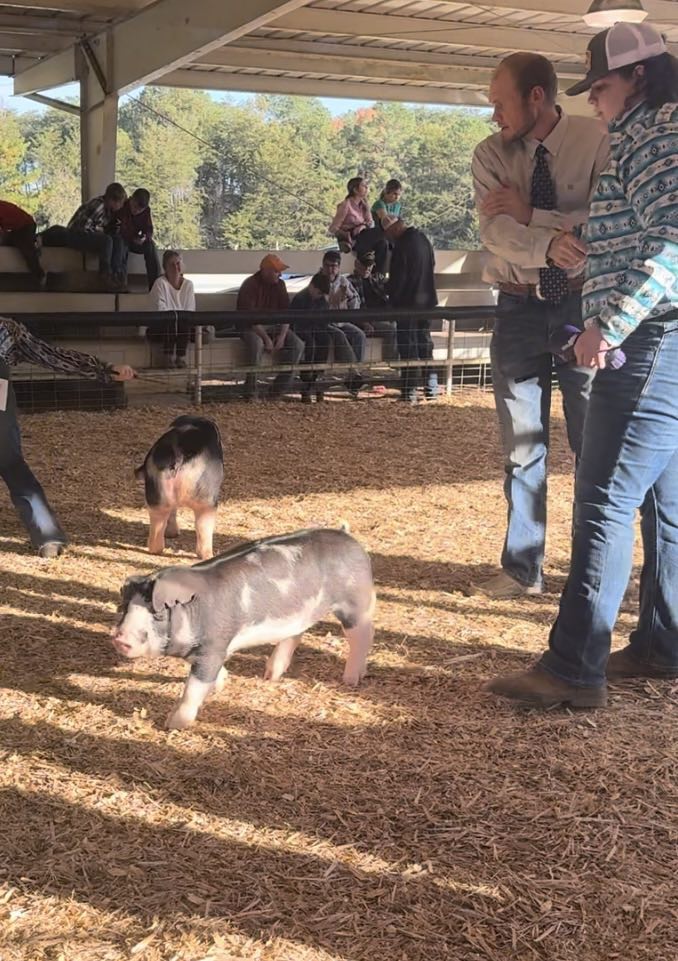 Holden Shuler
2024 Big Orange Fall Classic
Champion Tennessee Bred  Spot Gilt