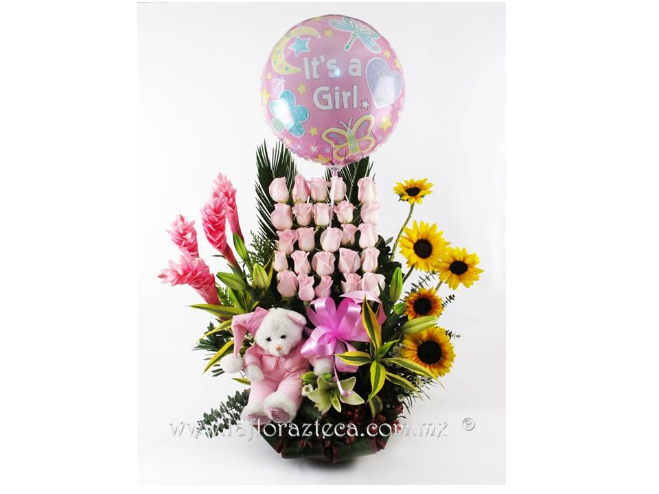 LFA-603
Precio $1,480