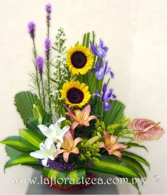 LFA-708
Precio $1250