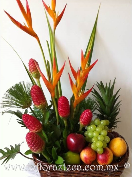 LFA-512
Precio $1,380