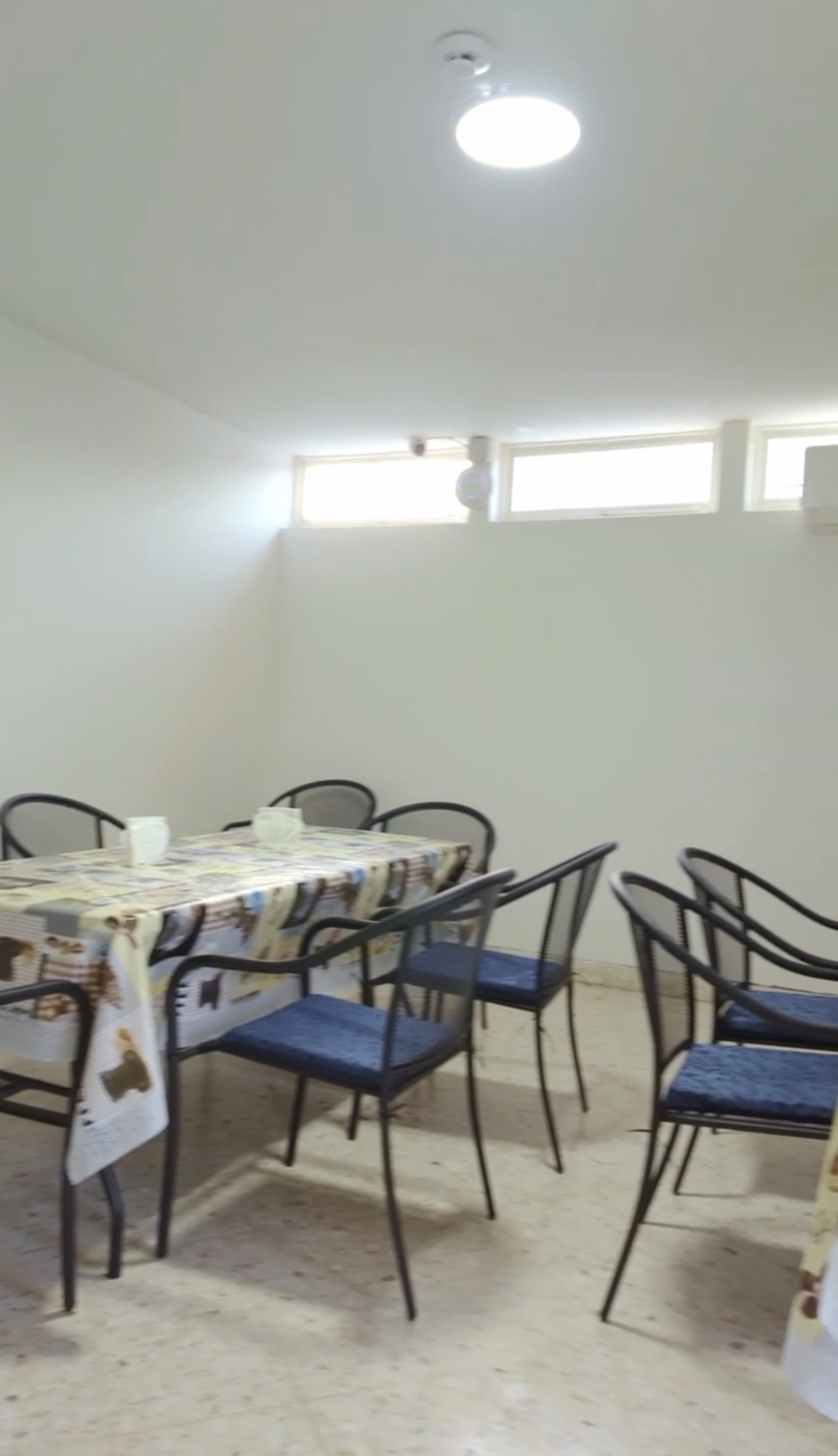 Personas mayores conversando en una sala de reuniones moderna con plantas y luz natural.