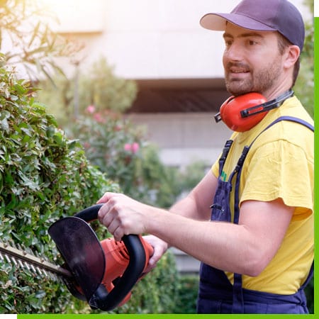 Gardener Using an Hedge Clipper in the Garden