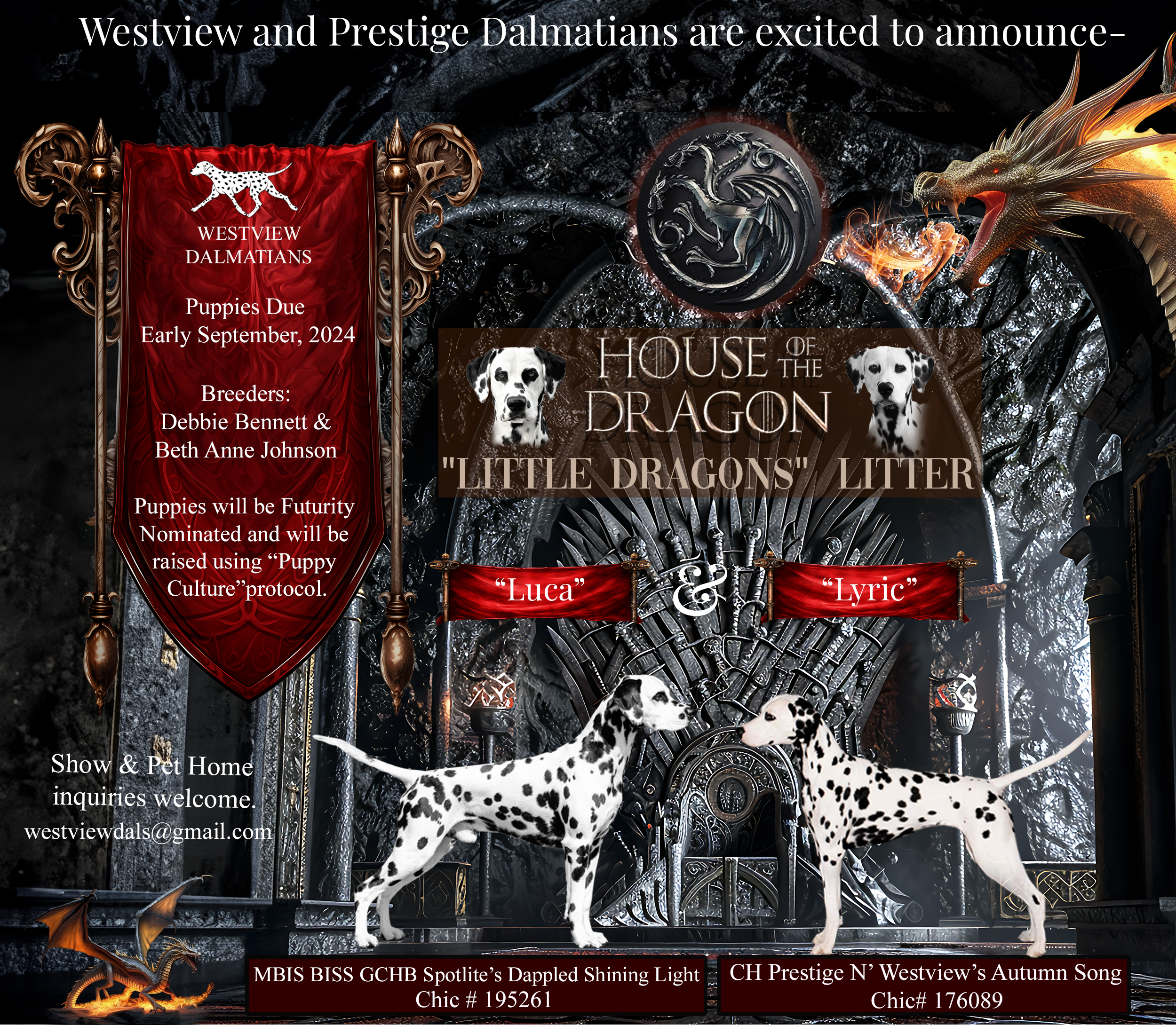 Upcoming Litter