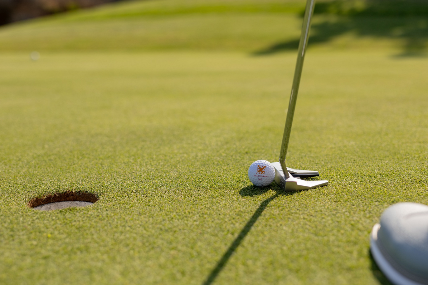 bird's eye photo of grass field