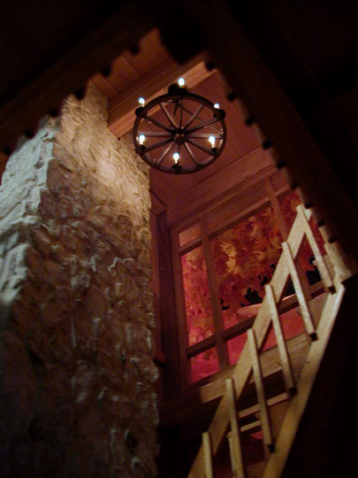 The View Upward 