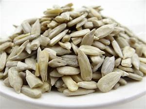 Young dark haired woman 